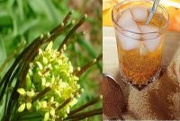 خاکشیر؛ بهترین نوشیدنی در ماه رمضان برای کاهش تشنگی