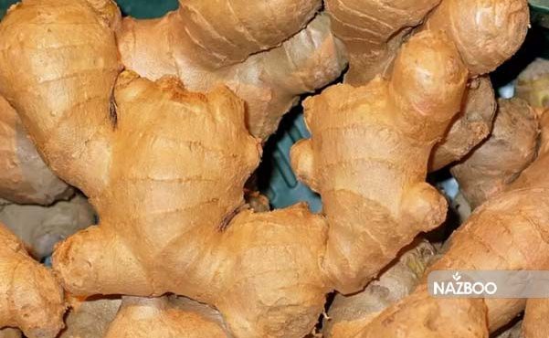 زنجبیل (Ginger)