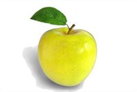 آشنایی با انواع نهال سیب پیوندی و اصلاح شده