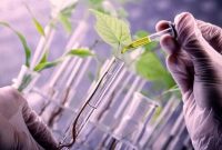 حفاظت از ذخایر ژنتیکی مسئولیت اجتماعی برای آیندگان است