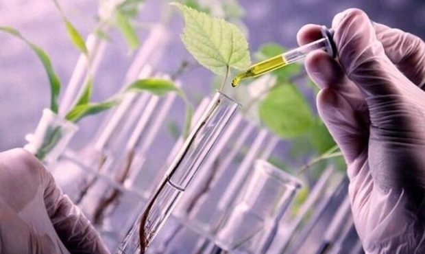 حفاظت از ذخایر ژنتیکی مسئولیت اجتماعی برای آیندگان است