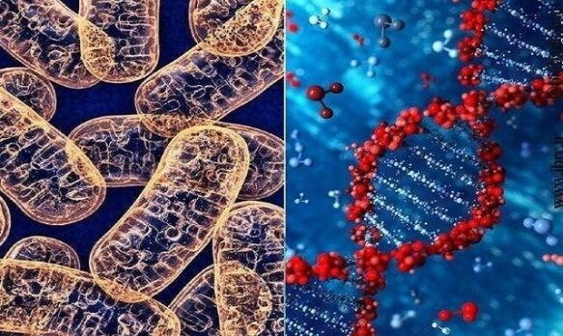 مرکزی استراتژیک با ماموریت حفظ، شناسایی و جمع‌آوری منابع زیستی و ژنتیکی ایران