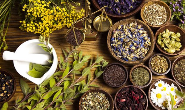 ضوابط جدید صادرات گیاهان دارویی اعلام شد