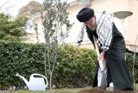 کاشت سه اصله نهال در روز درختکاری با اشاره با انتخابات ۱۱ اسفند توسط رهبر انقلاب