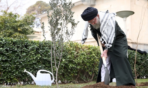 کاشت سه اصله نهال در روز درختکاری با اشاره با انتخابات ۱۱ اسفند توسط رهبر انقلاب