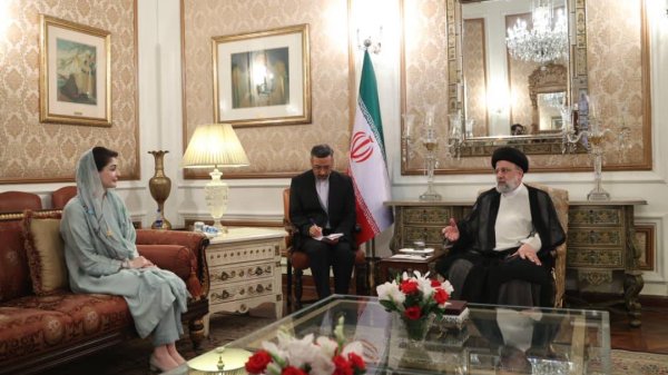 دیدار سروزیر ایالت پنجاب با رئیس جمهور