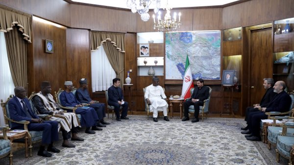 دیدار رئیس مجلس ملی مالی با سرپرست ریاست جمهوری