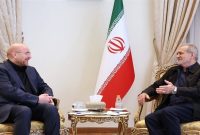 رئیس مجلس با دکتر پزشکیان دیدار کرد
