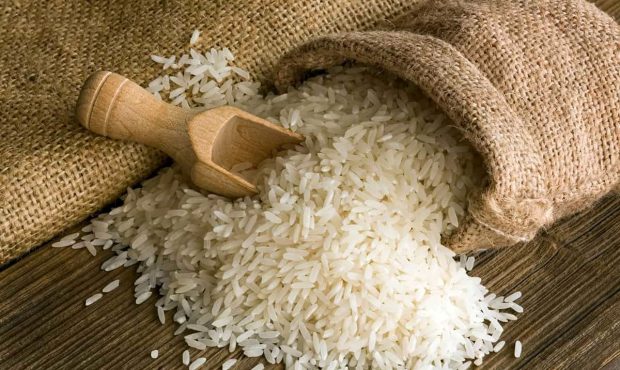 آیا نیاز به واردات برنج داریم؟