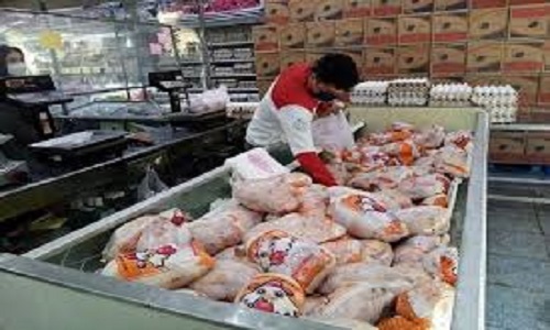 فروش مرغ بیش از ۹۰هزار تومان گران‌فروشی است