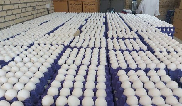 قیمت تخم‌مرغ تا پایان ماه رمضان تغییر نمی‌کند