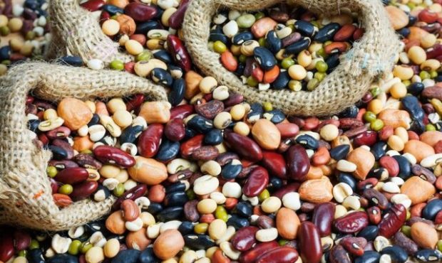 لیست محصولات ممنوعه برای صادرات اعلام شد