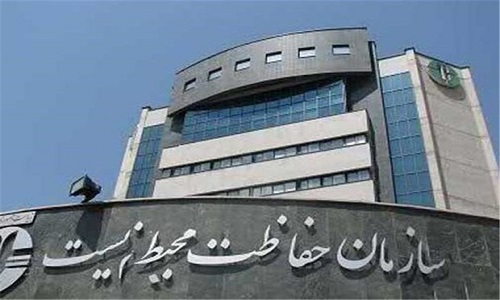 پرونده توله شیر هنوز مفتوح است