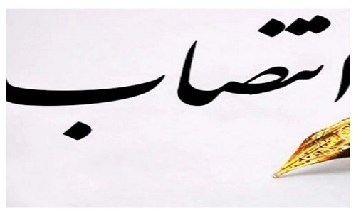 یازده مدیر زن متخصص دارای سمت جدید