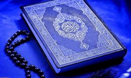 معاون قرآن و عترت با هیات مدیران عالی رتبه موسسات قرآنی هند