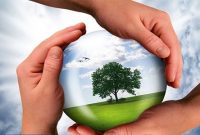حمایت از فعالیت های هنری