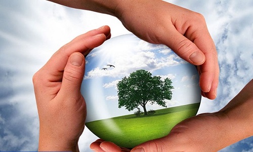 حمایت از فعالیت های هنری