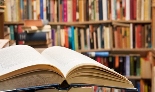 کتابخانه‌های عمومی در حال حاضر باشگاه‌های فرهنگی-اجتماعی کتاب‌محور برای سنین مختلف است