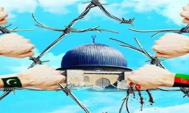 صالحی و رئیس اتحادیه جهانی علمای مسلمان دیدار کردند