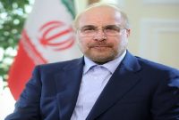 رئیس مجلس شورای اسلامی از دو اقدام ارزشمند دولت قدردانی کرد