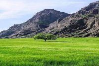 روزهای شیرین این سرزمین و این طبیعت بخشنده ساختنی است