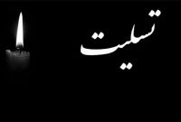 پیام تسلیت وزیر فرهنگ و ارشاد اسلامی در پی درگذشت مادر محسن چینی‌فروشان