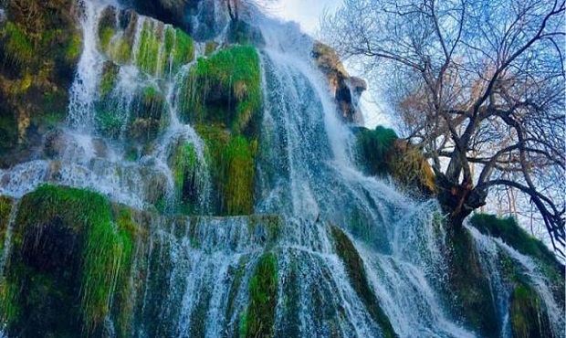 اردیبهشت فصل بهار و باران و کتاب