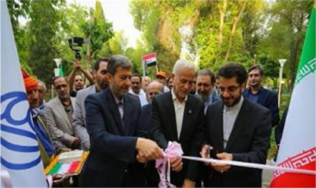 درخت صلح به نام دنبال‌کنندگان حقوق بشر شرقی کاشته شد