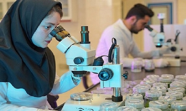 برنامه دانشگاه خواجه نصیر برای عدم مهاجرت و اشتغال دانشجویان