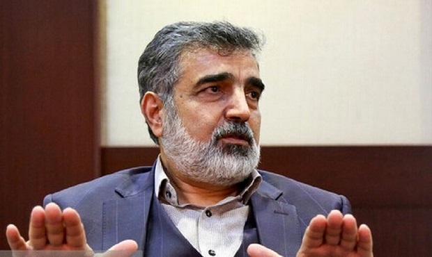 بازرسان آژانس بر تعویض سوخت نیروگاه اتمی بوشهر نظارت می‌کنند