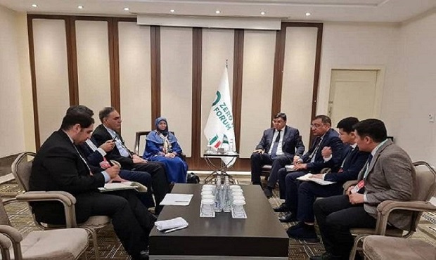 تشکیل کارگروه مشترک ایران و ازبکستان برای مقابله با گردوغبار و حفاظت از گونه‌های نادر