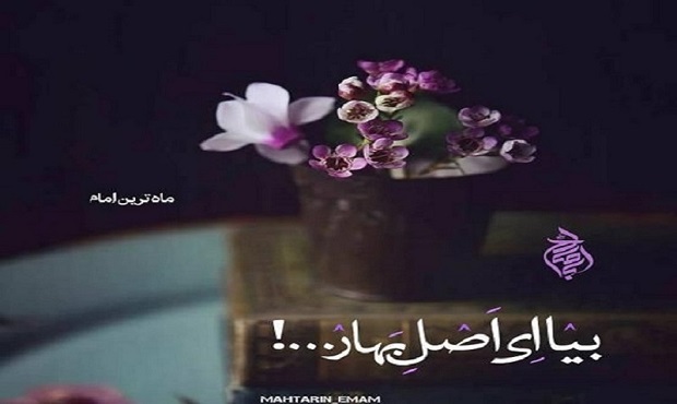 باور ظهور