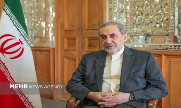 ولایتی: حتما به ماجراجویی‌ها پاسخ فوری داده می‌شود