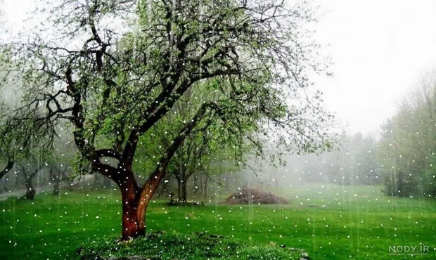 کوتاه نوشت