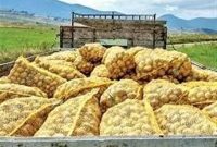 ممنوعیت صادرات سیب‌زمینی تا پایان سال اجرایی شد