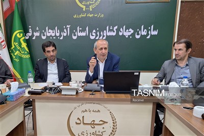 تأثیر گرانی نهاده‌ها بر امنیت غذایی و نقش فناوری هسته‌ای در کشاورزی
