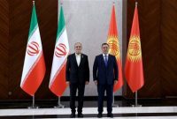 همکاری کشورهای منطقه، کلید امنیت پایدار و جلوگیری از مداخلات خارجی