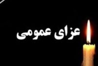 اعلام عزای عمومی از سوی هیئت دولت به مناسبت رحلت آیت‌الله شبیری‌زنجانی