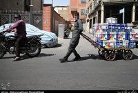 حبابی که فرهنگ را در فشار می‌آورد؛ تبدیل کاغذ «کتاب» به کالای لوکس
