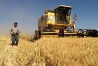 کشاورز نباید در دنیای کشت‌وکار به روش‌های قدیمی بسنده کند