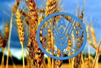 افزایش ۲ درصدی قیمت جهانی مواد غذایی به‌دلیل تنش‌ها با ایران