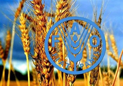 افزایش ۲ درصدی قیمت جهانی مواد غذایی به‌دلیل تنش‌ها با ایران