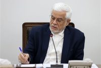 خوشحالی از پیروزی‌های ملت قهرمان یمن