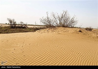 بیابان‌زایی در کمین مراتع کرمان؛ خشکسالی و برداشت بی‌رویه آب در خطر هستند