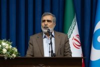 ایران از گزینه‌های متنوعی برای دفاع از خود برخوردار است
