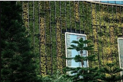 دیوارهای سبز هوشمند؛ راه‌حلی عمودی برای تنفس در هوای آلوده کلان‌شهرها