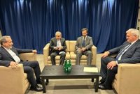 دیدار با عراقچی، نتیجه‌بخش و مؤثر بود
