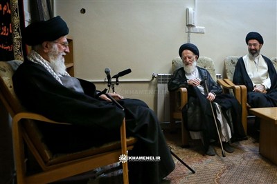 قابی نادر از دیدار رهبر شهید و آیت‌الله شبیری زنجانی+عکس