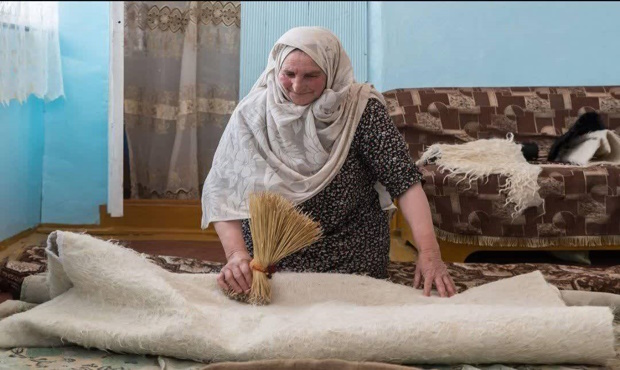 نمدمالی سنتی ایران در مسیر ثبت جهانی؛ میراثی از مهارت، طبیعت و حافظه فرهنگی