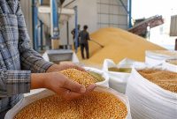 آزمون ثبات بازار کالاهای اساسی: از ذخیره‌سازی ۶ ماهه تا توزیع بدون تورم